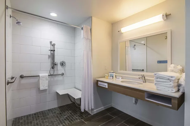 غرفة بسرير مزدوج لذوي الإعاقة، Hampton Inn & Suites Dallas/Richardson 3/3