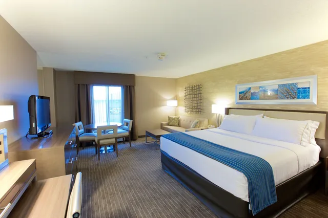 Room, King Bed, Extra Floor Space، Holiday Inn Express Fargo-West Acres 1/6