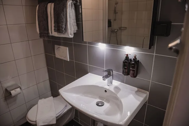 جناح بسرير مزدوج مع أريكة، Home Hotel Odin 3/3