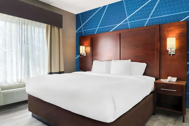 جناح تنفيذي بسرير كينج بحوض جاكوزي، Holiday Inn Express & Suites Southfield - Detroit 1/3