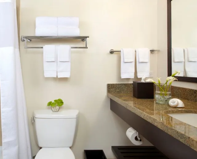 Standard, Double Bed, Park Shore Waikiki 3/3