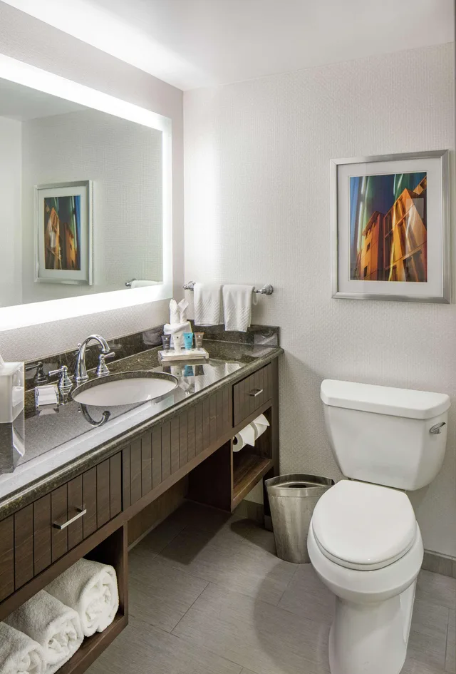 غرفة سوبيريور بسرير مزدوج، Hilton Minneapolis 2/2