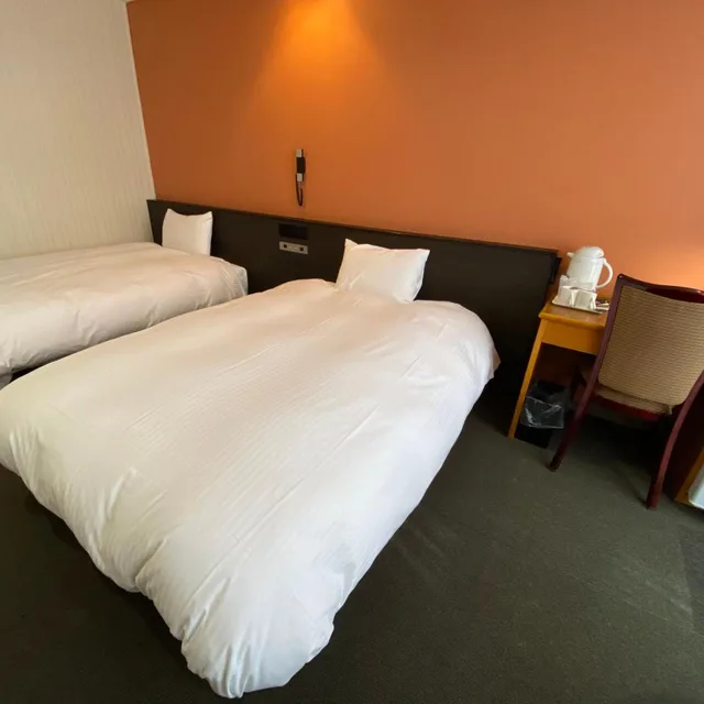 غرفة بسريرين منفصلين، HOTEL CONTINENTAL 6/10