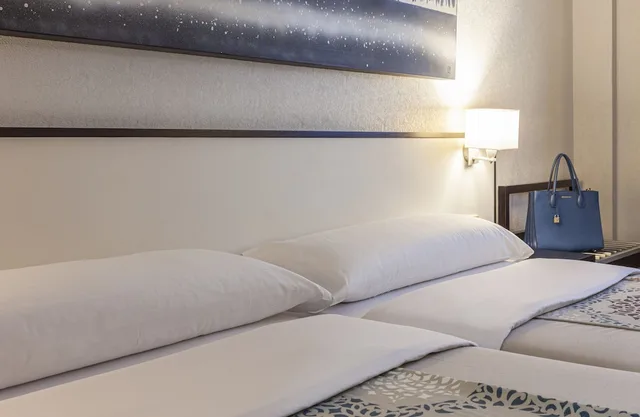 غرفة بسريرين منفصلين، Macia Plaza 9/10