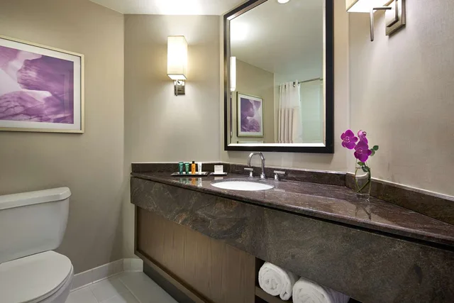 غرفة ديلوكس بسرير كينج بحوض استحمام لذوي الإعاقة، Hilton Long Beach 3/3