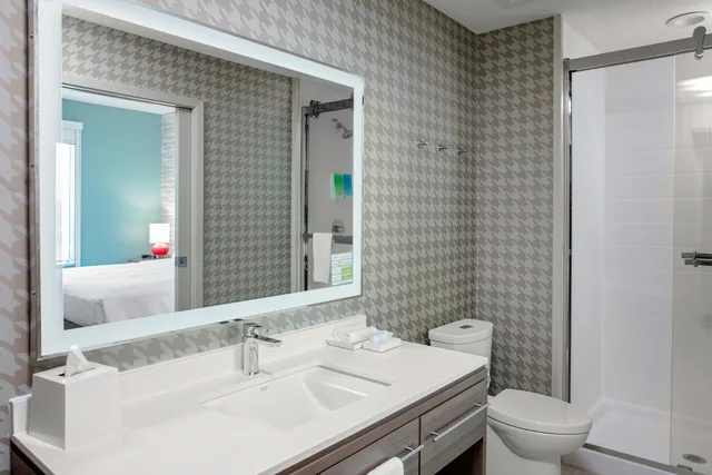 Studio, King Bed, Sofa, Home2 Suites By Hilton Rosenberg Sugar Land Area 1/2