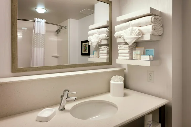 غرفة بسرير كينج لذوي الإعاقة، Hampton Inn Salt Lake City-Downtown 3/6