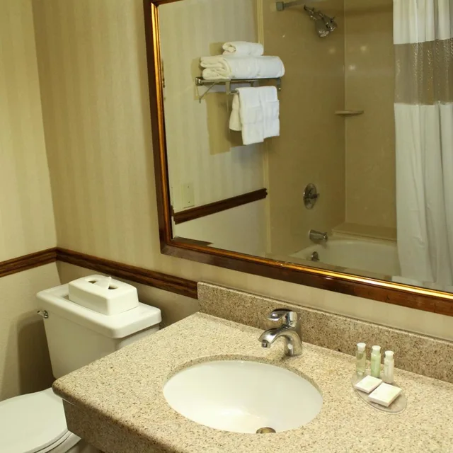 غرفة بسريرين كوين، University Square Hotel 1/2
