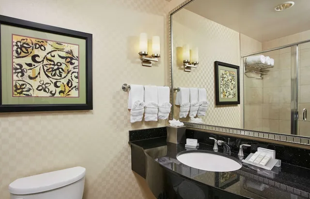 جناح بسرير كينج لذوي الإعاقة، Hilton Garden Inn Rockville-Gaithersburg 4/4