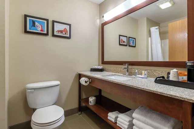 غرفة مفردة بسرير كينج مع أريكة، Comfort Inn Story City 6/6