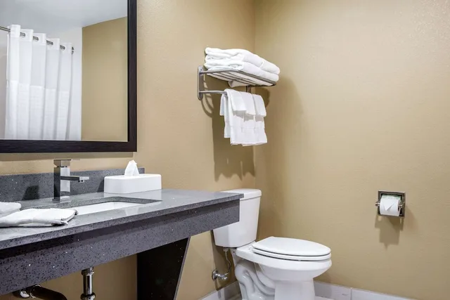 غرفة مفردة بسرير كينج لذوي الإعاقة، Comfort Inn & Suites Ashland, OR 5/5