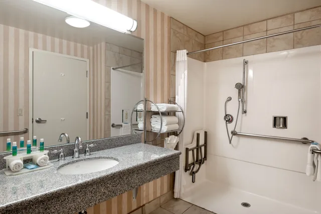 غرفة قياسية بسرير كينج لذوي الإعاقة، Holiday Inn Express & Suites Lathrop 4/6