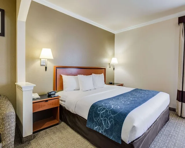 جناح بزنس بسرير كينج، Comfort Suites Deer Park Pasadena 1/3