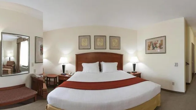 غرفة قياسية بسرير كينج لذوي الإعاقة، Holiday Inn Express Hotel And Suites Decatur 1/5