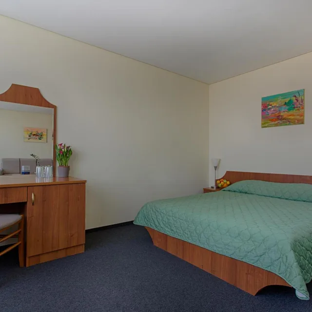 جناح جونيور بسرير مزدوج، Hemus Hotel Sofia 1/5