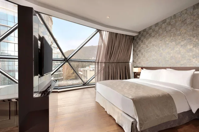 جناح بريميوم، Wyndham Grand Tbilisi 1/1