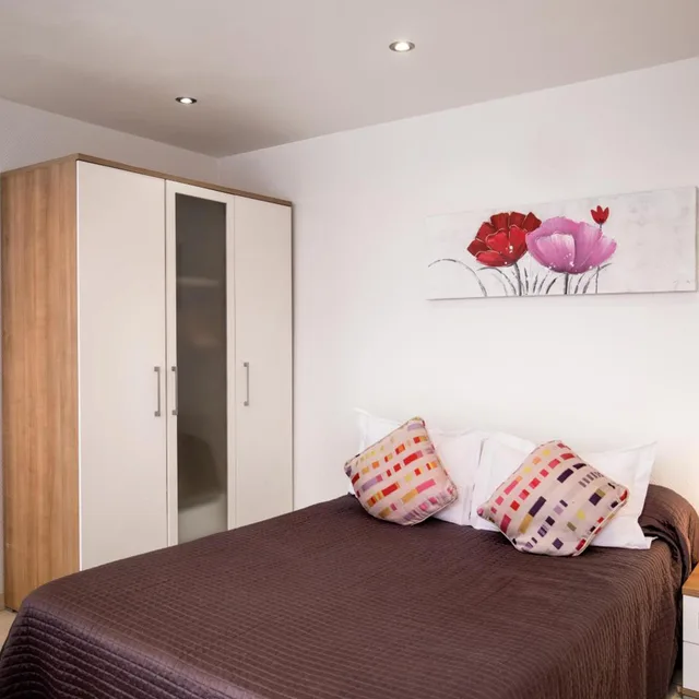 استوديو سوبيريور بسرير مزدوج، HOTEL DE L'HORLOGE 5/10
