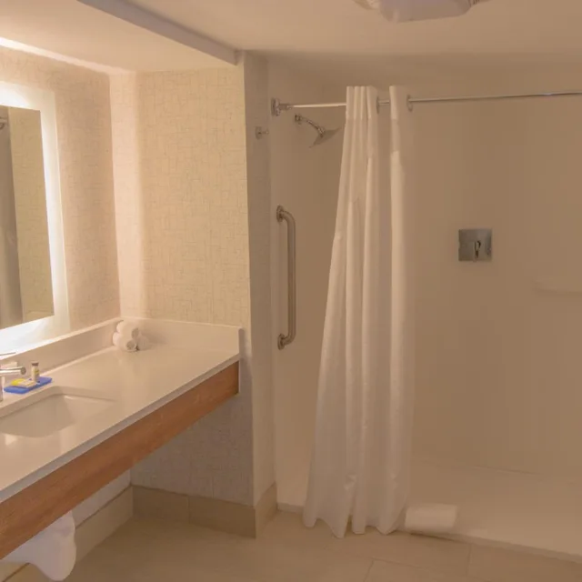 Standard, King Bed, Accessible, Holiday Inn Express Hotel And Suites Manassas 4/4