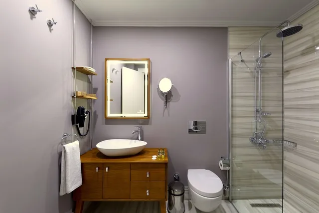 Superior, Queen Bed, Walton Hotels Galata 3/4