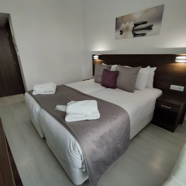 غرفة كلاسيكية بسرير مزدوج مع أريكة، INTERNATIONAL ATENE HOTEL 1/5
