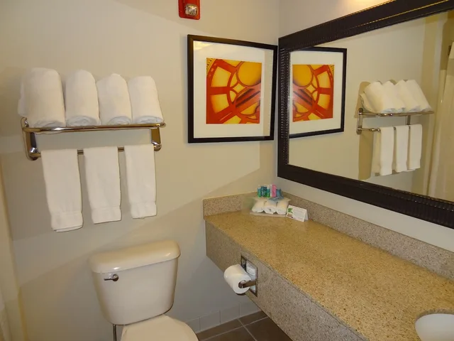 جناح بسرير كينج مع أريكة بمطبخ صغير، Holiday Inn Express & Suites Columbus SE - Groveport 6/7