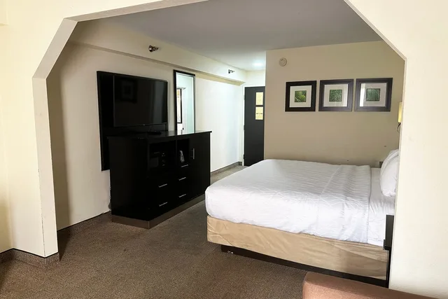 جناح بسرير كينج، OYO Hotel Rome West GA 2/7
