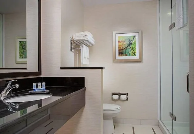 استوديو أساسي بسرير كينج بغرفة نوم واحدة مع أريكة، FAIRFIELD INN & SUITES ATLANTA BUFORD/MALL OF GEORGIA 3/3
