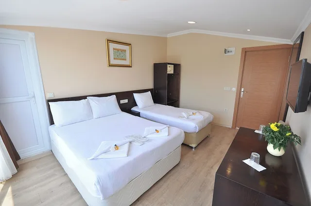 غرفة ديلوكس ثلاثية بسرير مزدوج وسرير فردي بإطلالة على المدينة، Hotel Baykal 2/4