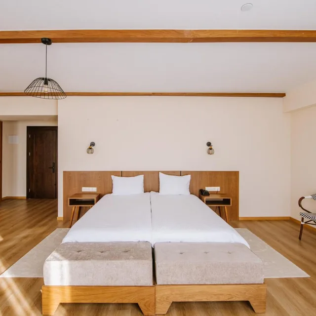 جناح جونيور في الملحق، Gudauri Inn 6/10