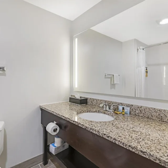 جناح بسرير كوين لذوي الإعاقة، Best Western Plus Brunswick Bath 7/8
