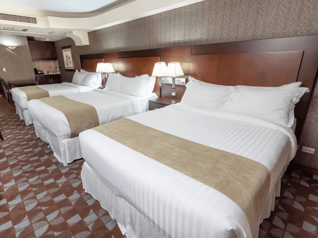 غرفة قياسية ثلاثية بسريرين مزدوجين، Plaza San Martin Hotel 1/8