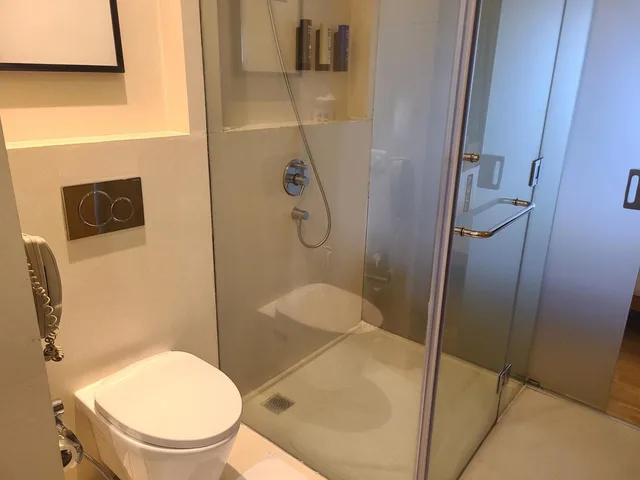 جناح جونيور بسرير كينج مع دخول الصالة، NOVOTEL HYDERABAD AIRPORT 2/6