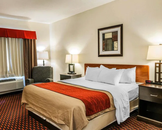 Standard, King Bed, Comfort Inn Avon-Indianapolis West 1/2