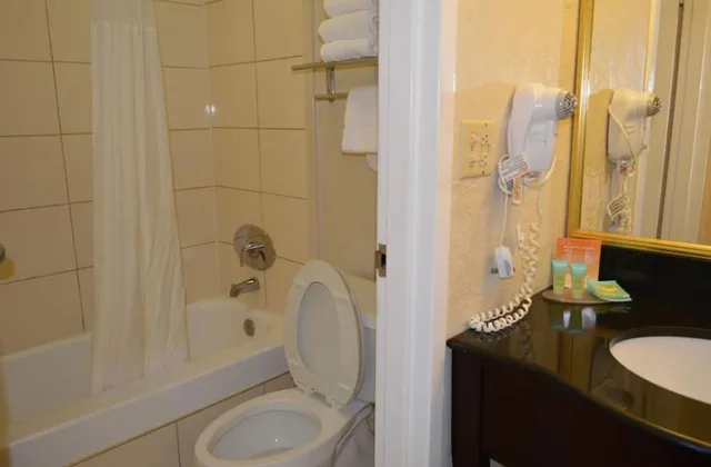 Room, 2 Queen Beds, Pool View, Opal Hotel and Suites 3/3