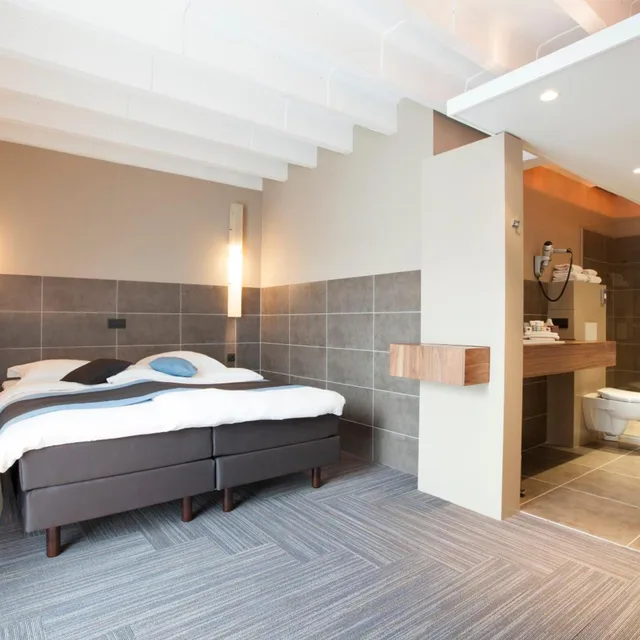 غرفة سوبيريور بسرير كينج، HOTEL MERCURE MECHELEN VE 2/6