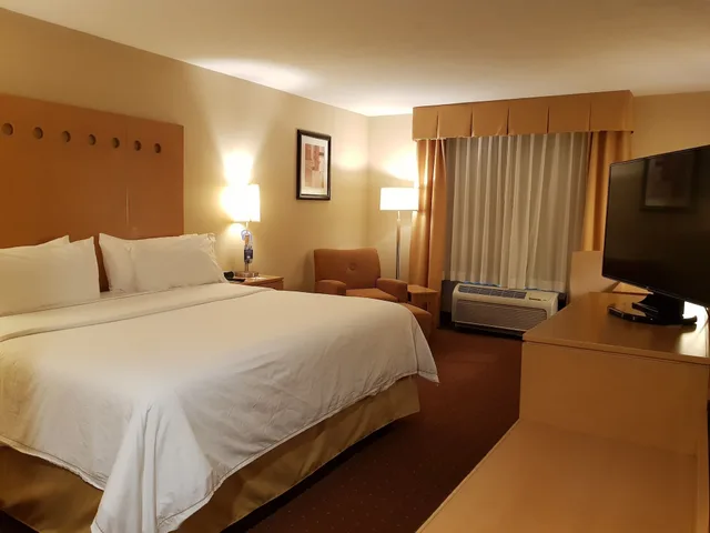 غرفة قياسية بسرير كينج، Holiday Inn Express Saltillo Zona Aeropuerto 1/10
