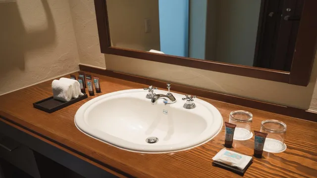 Deluxe, Twin Beds, Lodge Building، Lotte Arai Resort 3/4