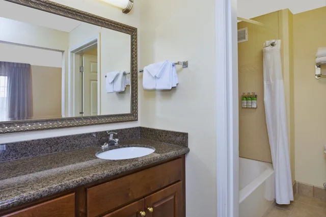 جناح استوديو بسرير مزدوج بمطبخ، Staybridge Suites Lansing-Okemos 5/6