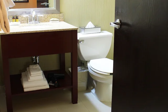 غرفة بسريرين كوين بإطلالة على المسبح، Hotel Burbank 6/6