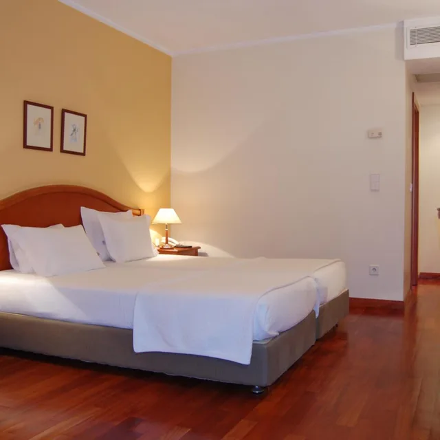 غرفة بسريرين منفصلين، Hotel Central Parque 1/9