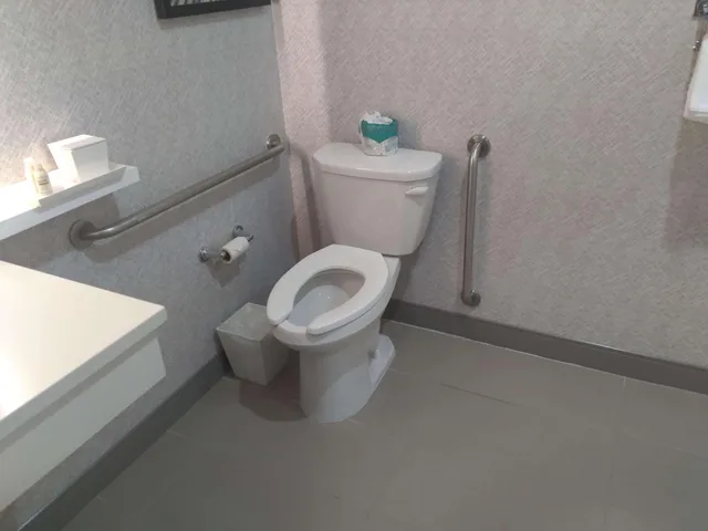 Mini, King Bed, Sofa, Bathtub, Accessible، Best Western Premier Route 97 Vernon 5/5