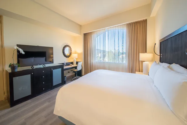 غرفة بريميوم بسرير فردي، InterContinental San Salvador-Metrocentro Mall 1/4