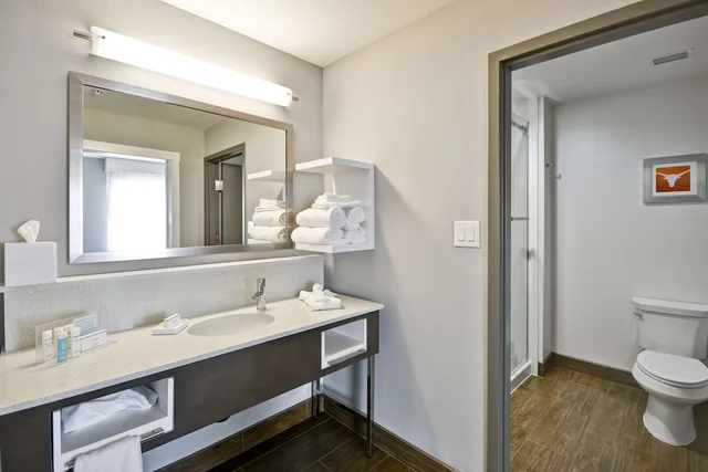 جناح استوديو بسرير كينج مع أريكة، Hampton Inn Kyle Tx 2/2