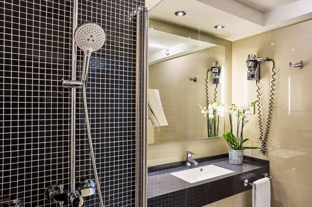 Standard, Twin Beds, Radisson Blu Conference Hotel, Dusseldorf 6/6