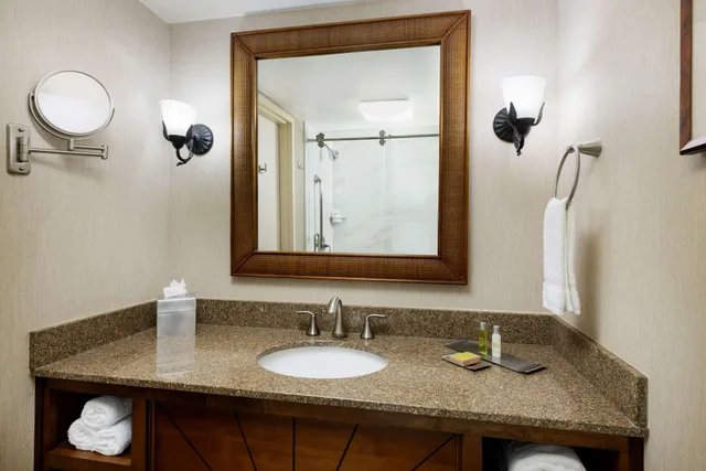 غرفة كلاسيكية بسرير كينج، DoubleTree Beach Resort by Hilton Tampa Bay - North Redington Beach 5/7