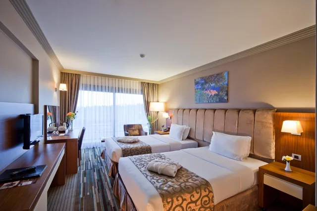 غرفة سوبيريور بسريرين منفصلين، VOLLEY HOTEL ISTANBUL 1/2
