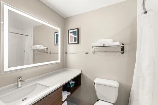 جناح بسرير كينج، Holiday Inn Austin North - Round Rock 5/6