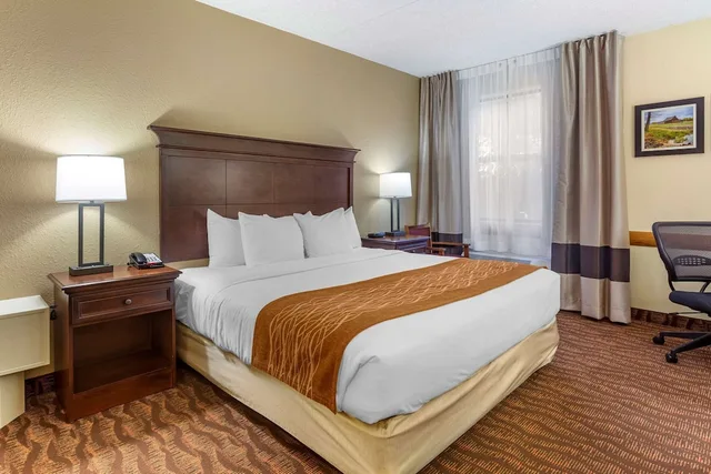 غرفة بسرير كينج بحوض استحمام لذوي الإعاقة، Comfort Inn and Suites Branson Meadows 4/10