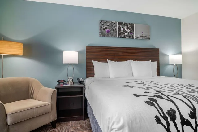 غرفة قياسية بسرير كينج، Sleep Inn & Suites Houston Westchase - Little Saigon 9/10