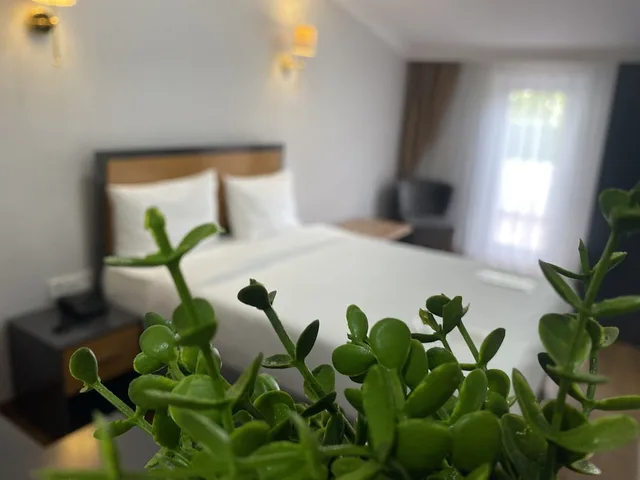 غرفة فاخرة بسرير مزدوج، Inalens Airport Hotel 4/6